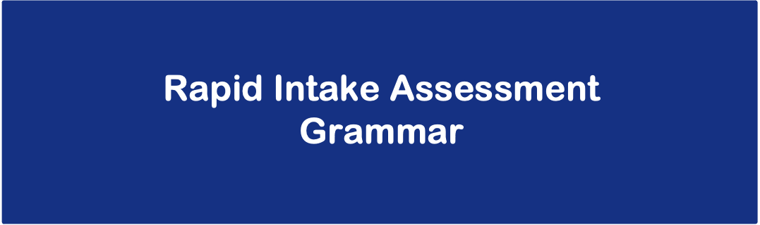 RAPID INTAKE ASSESSMENT : LITERACY (GRAMMAR) 