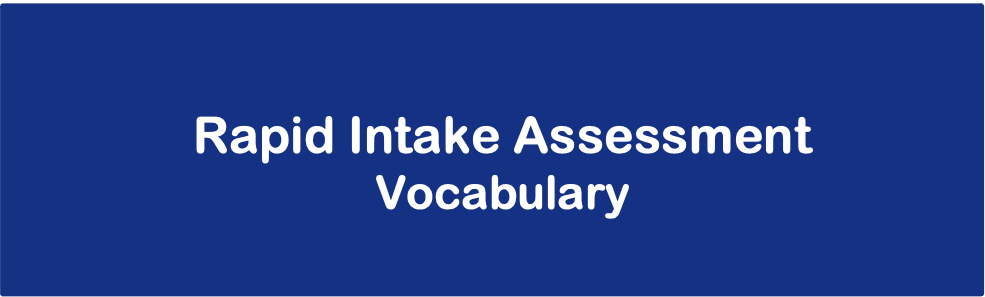 RAPID INTAKE ASSESSMENT : LITERACY (VOCABULARY) 